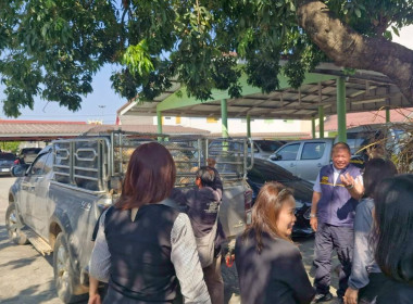 สำนักงานสหกรณ์จังหวัดเชียงรายกระจายผลผลิตสับปะรดภูแลออกนอกพื้นที่การผลิต ... พารามิเตอร์รูปภาพ 17